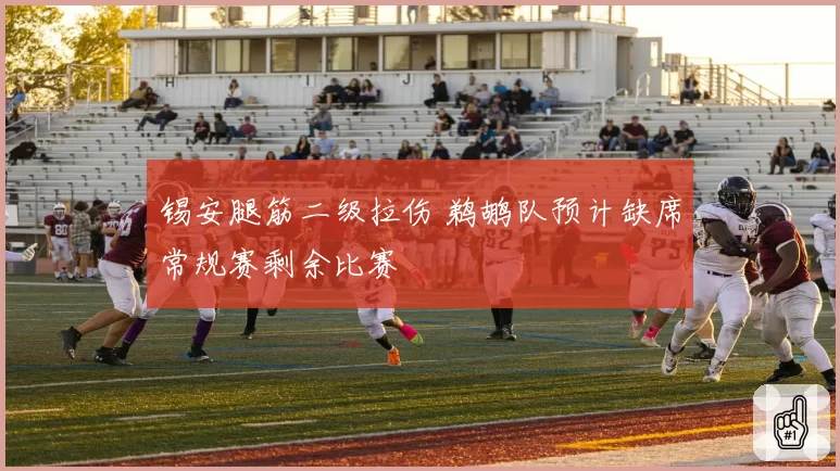 锡安腿筋二级拉伤 鹈鹕队预计缺席常规赛剩余比赛