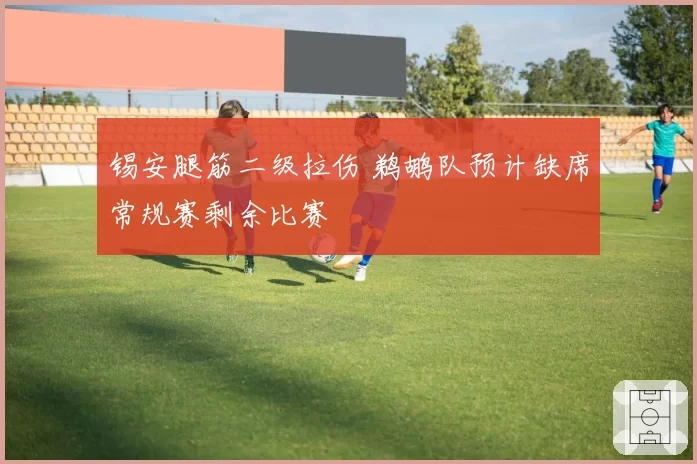 锡安腿筋二级拉伤 鹈鹕队预计缺席常规赛剩余比赛